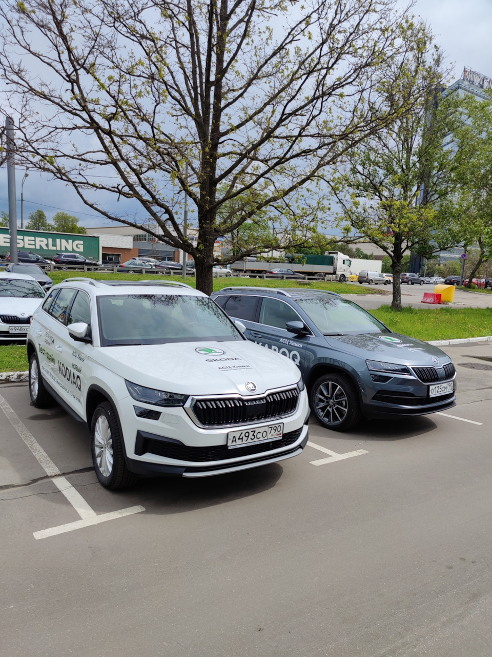 Фото в бортжурнале Skoda Karoq