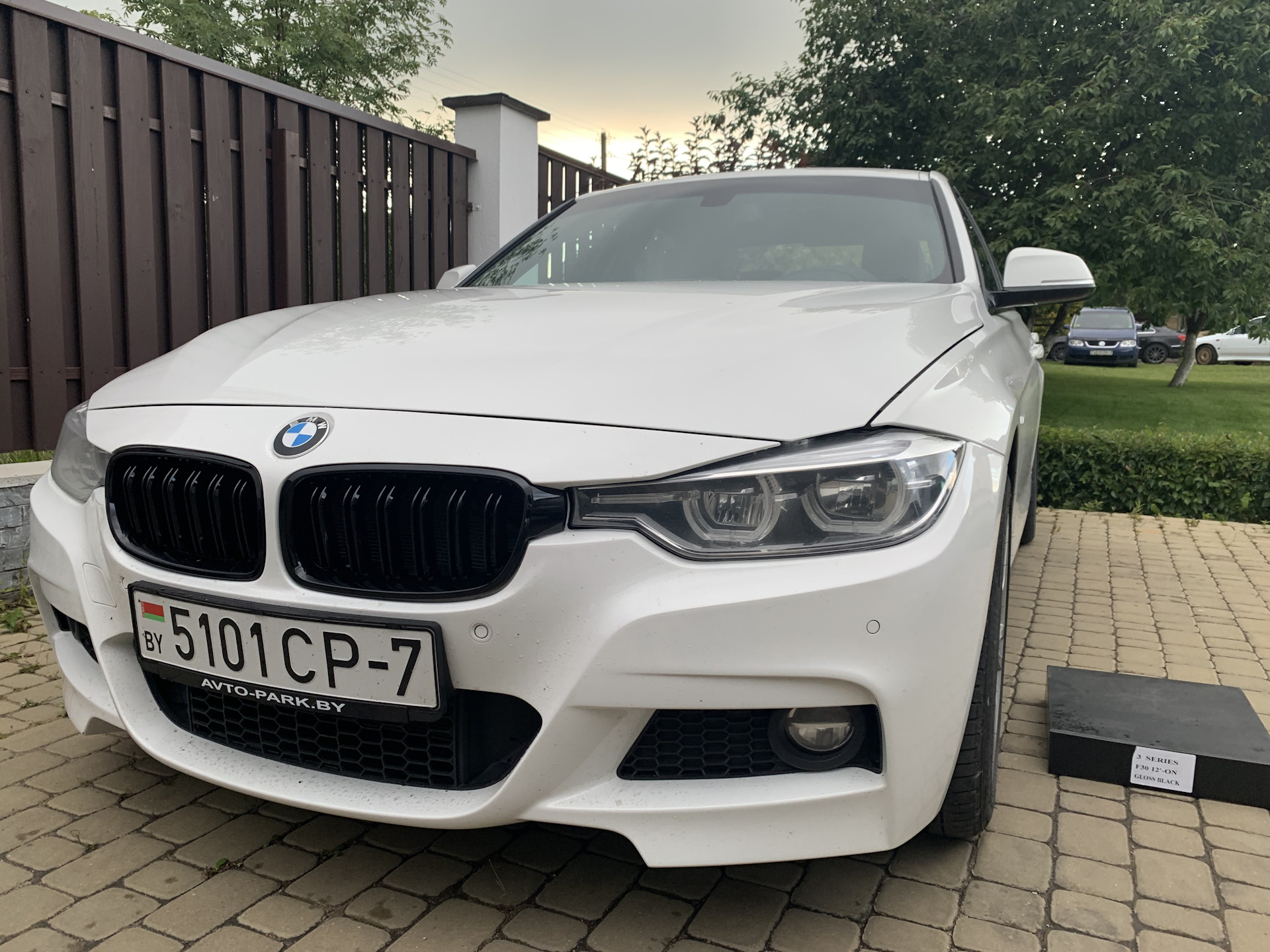 черные ноздри bmw f30