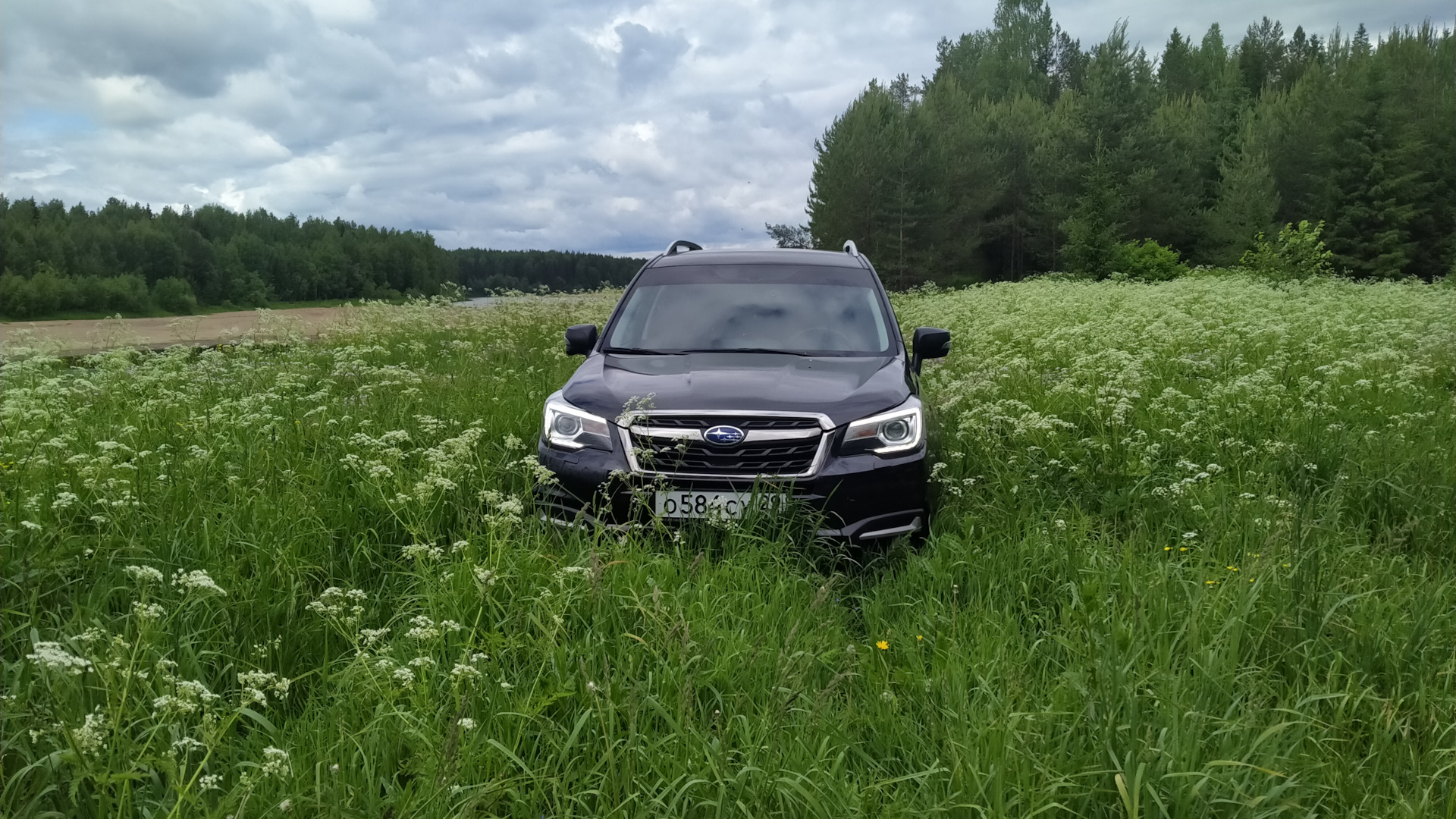 Продажа Subaru Forester (SJ) 2017 (бензин, вариатор) — с историей  обслуживания — DRIVE2.RU