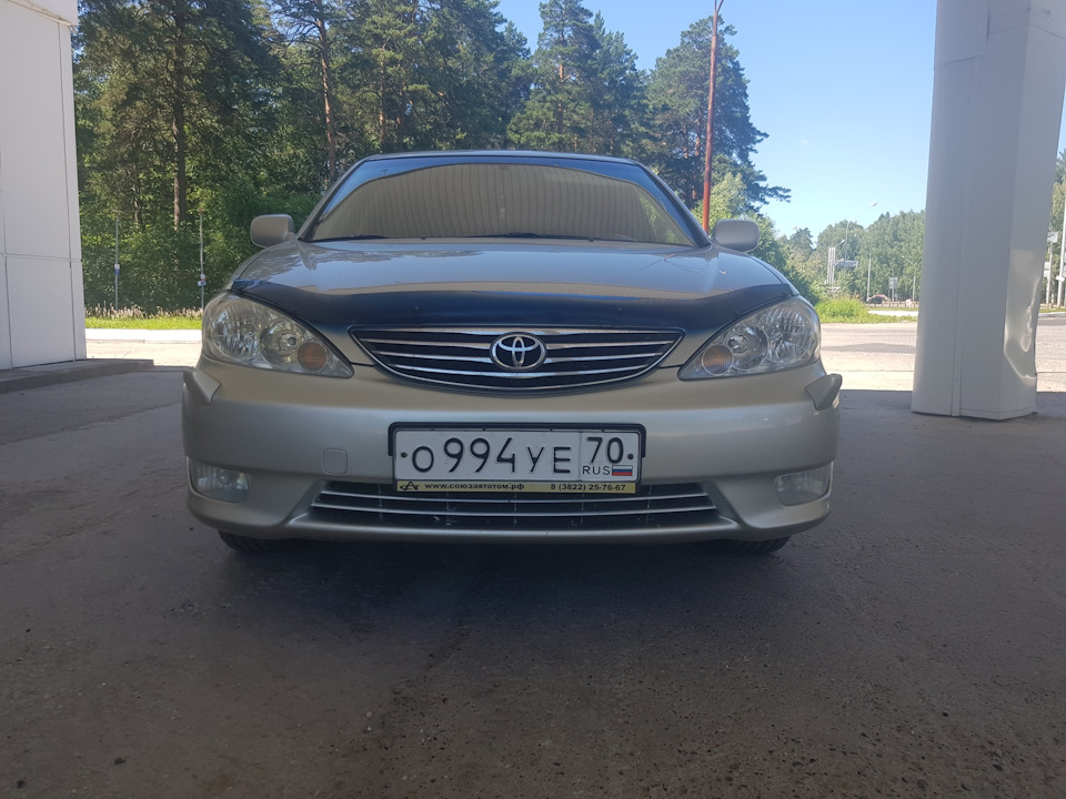 Camry стрекоза фото