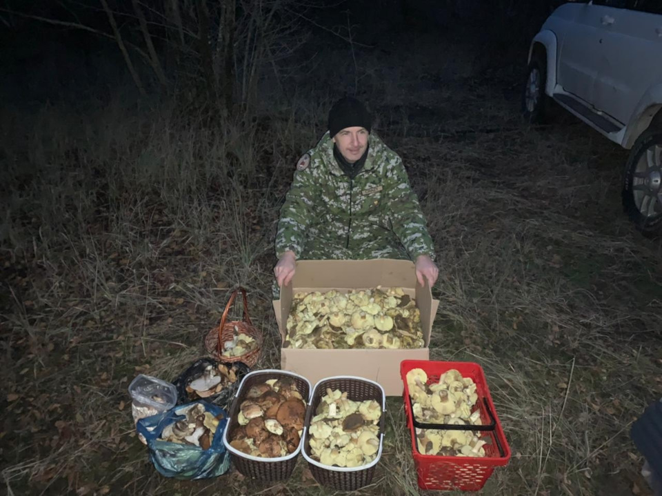 Фото в бортжурнале УАЗ Patriot