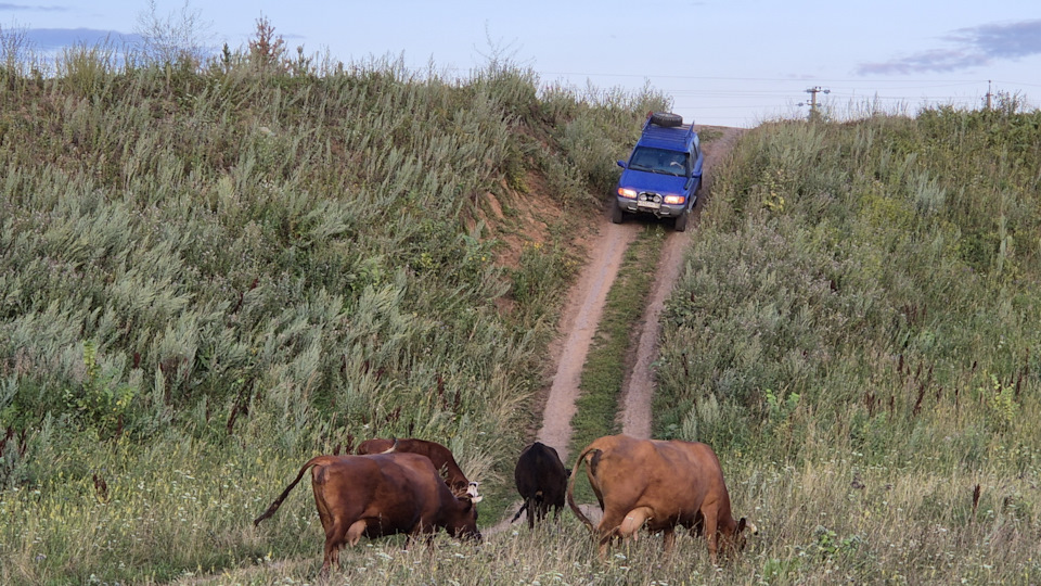 KIA Sportage Черепашка-молния