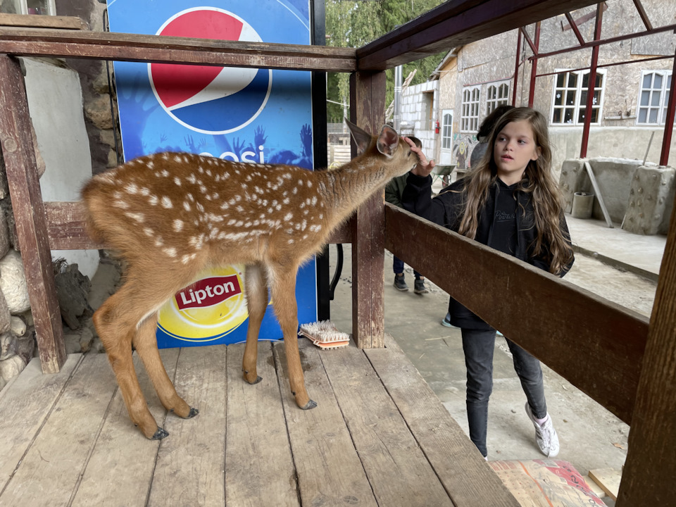 Фото в бортжурнале Cadillac Escalade (3G)