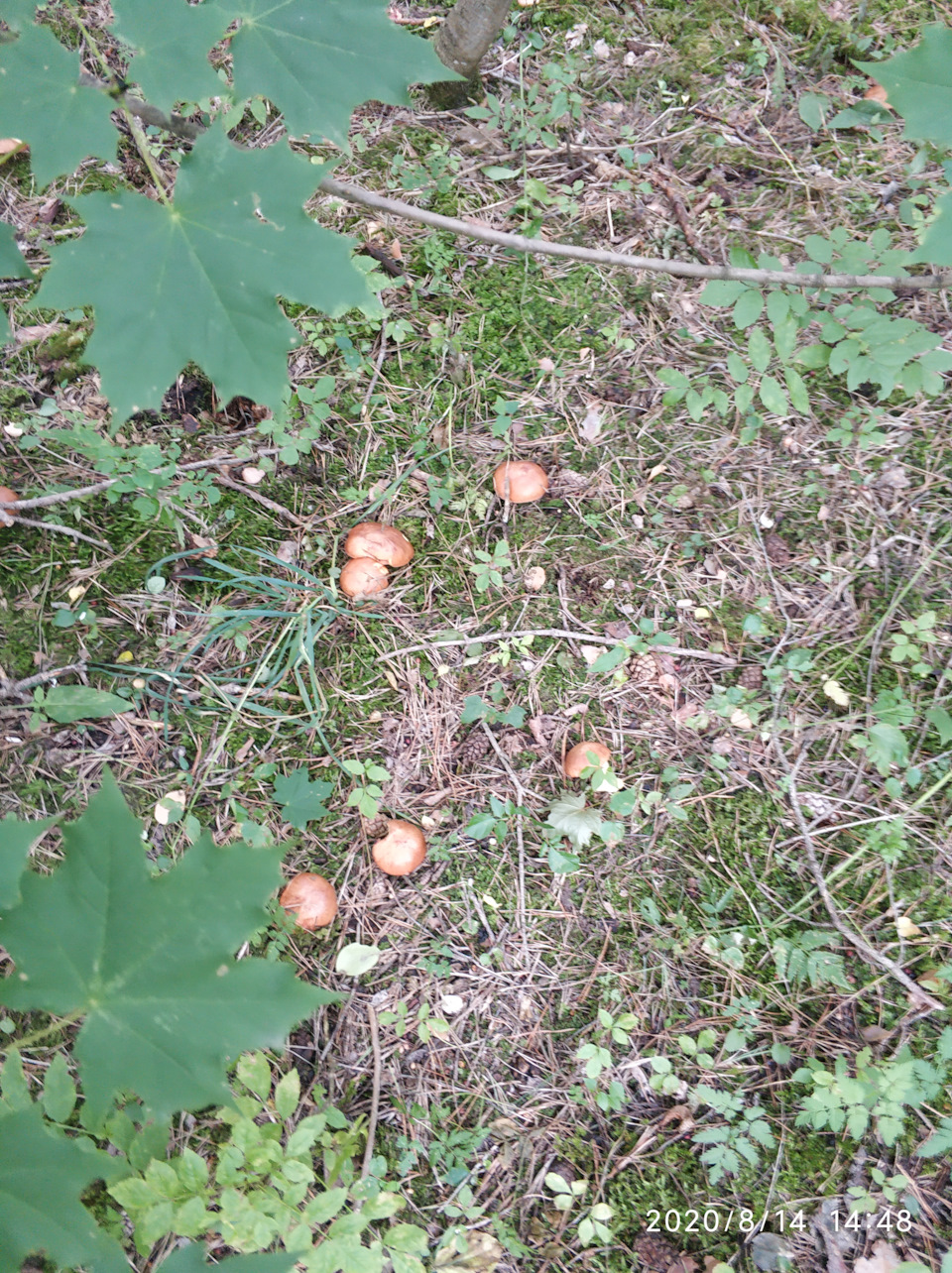 Взрыв Мозга! Ремонт алюминия. — ВВ-СЕРВИС на DRIVE2