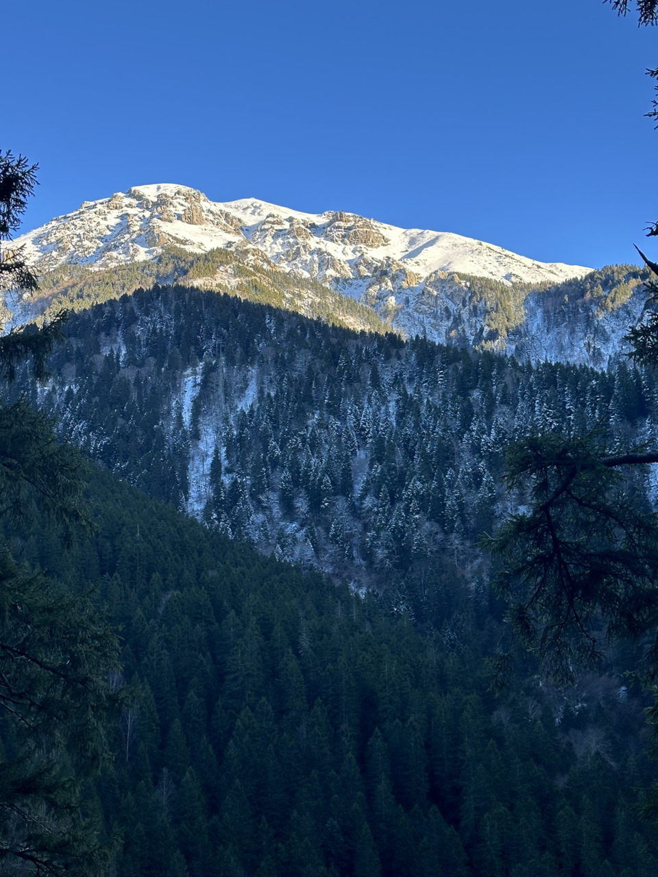 Фото в бортжурнале Audi 80 (B4)