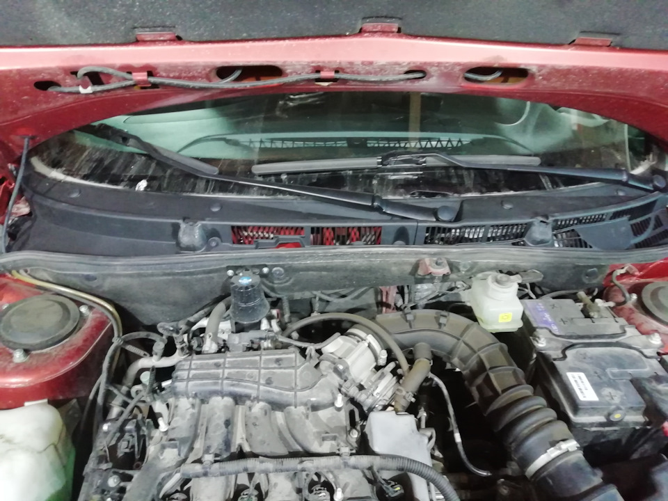 Плановое ТО. Неудача с жабо от Гранты FL — Datsun mi-Do, 1,6 л, 2019 ...