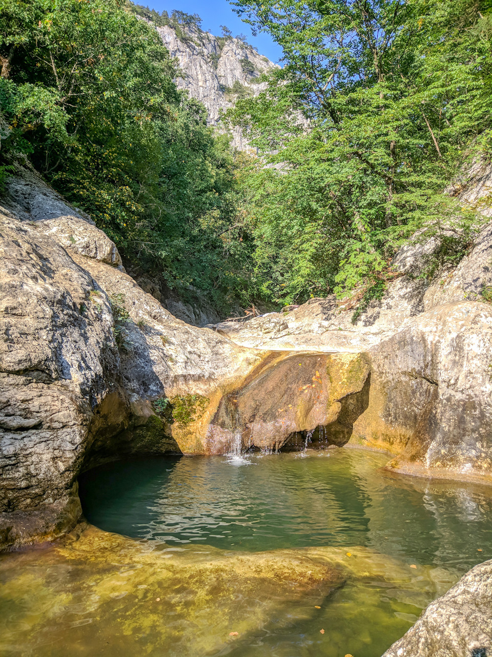 Ну и какая же достопримечательность без ванны любви, или молодости, или все сразу. Окунешься — и сразу молодой и любимый. — Audi A5 (1G)