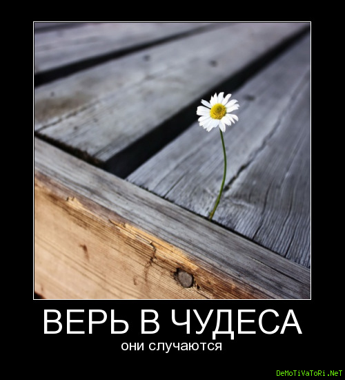 Картинки если тебе не верят