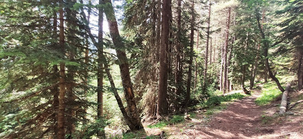 Фото в бортжурнале Haval H6 (1G)