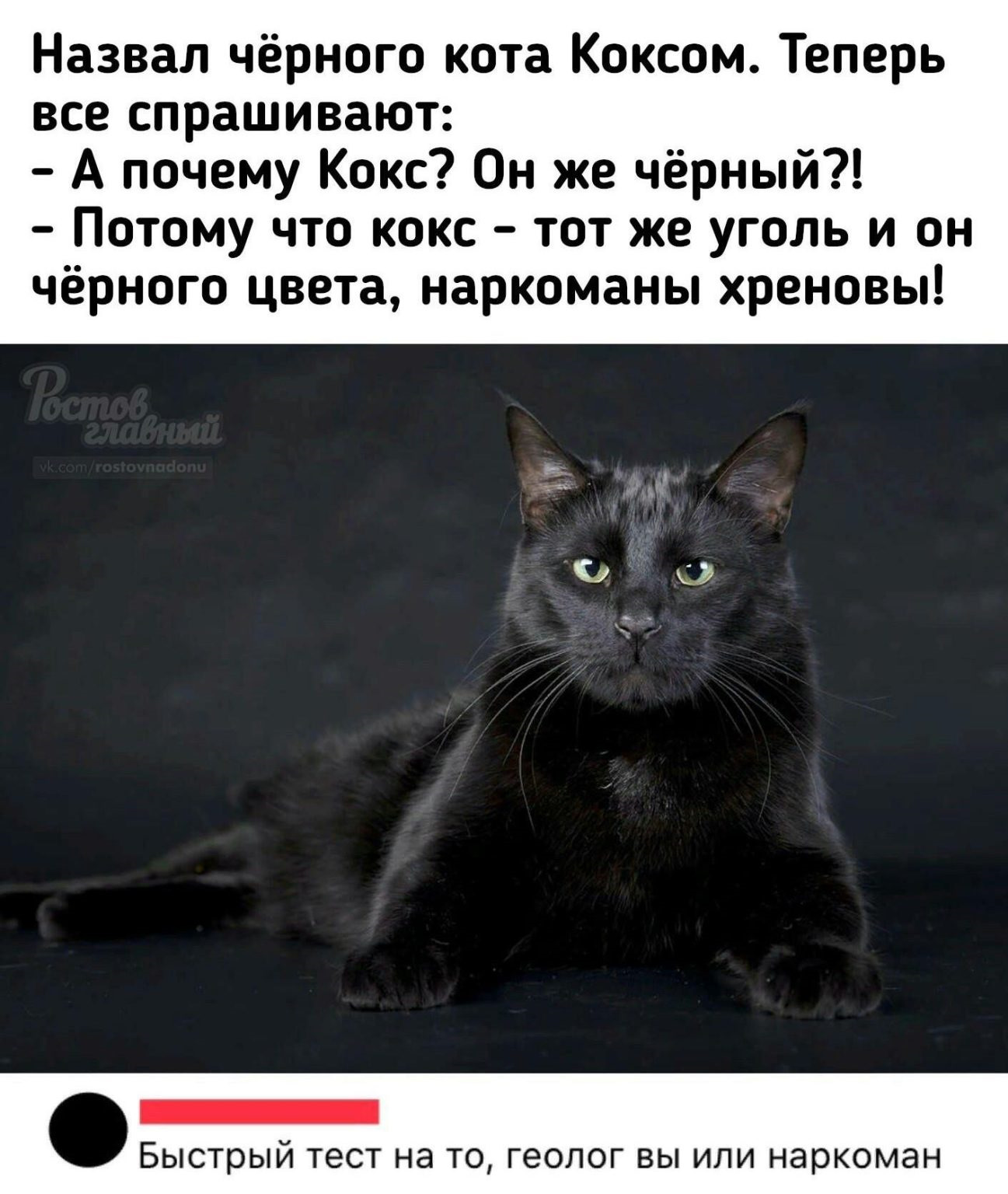 Черного кота зовут. Эдди мерфи пожизненно. Его зовут черный. Его зовут черный. Имена для чёрных кошек.