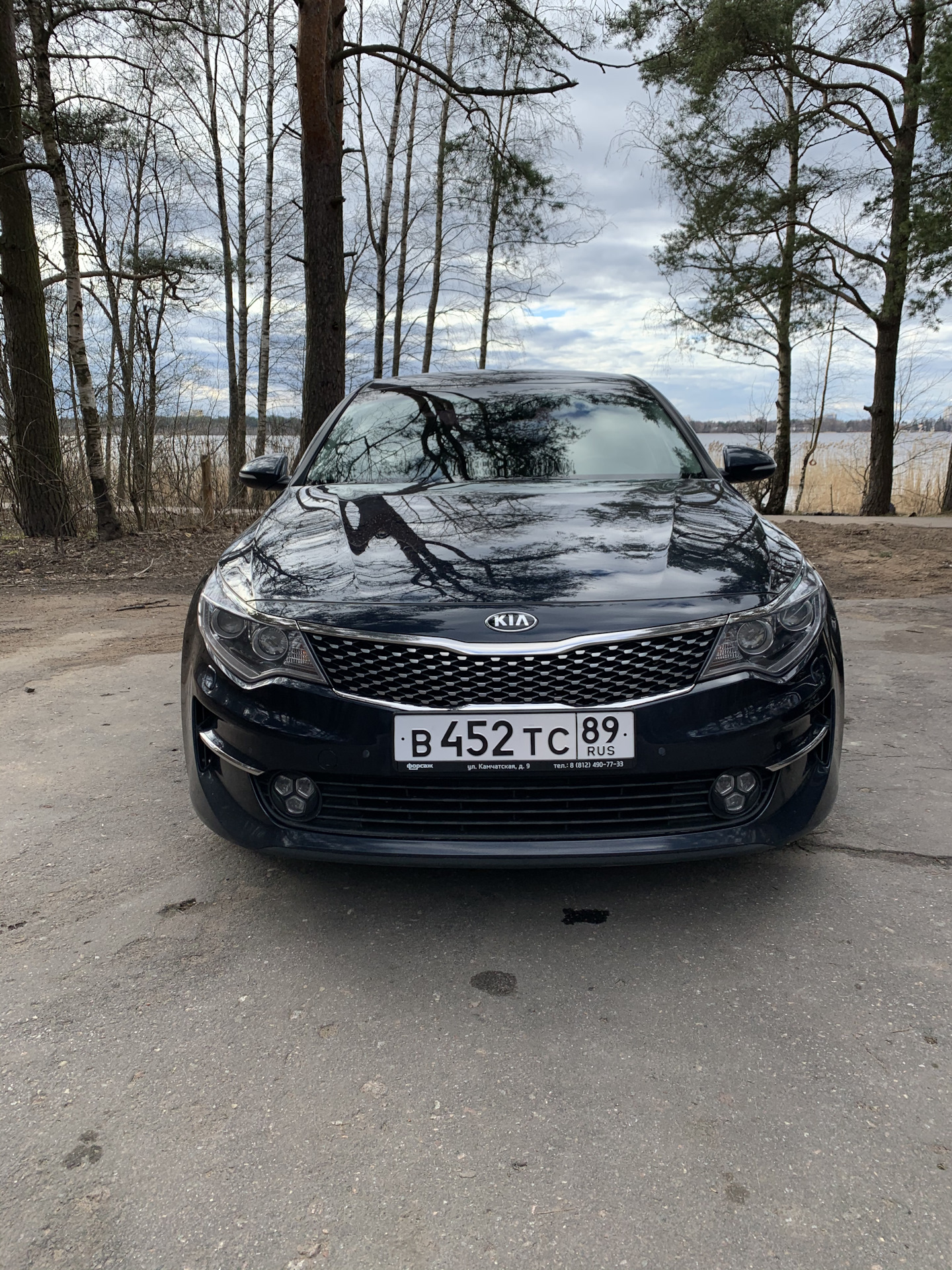 Финский залив — KIA Optima (4G), 2,4 л, 2017 года | фотография | DRIVE2