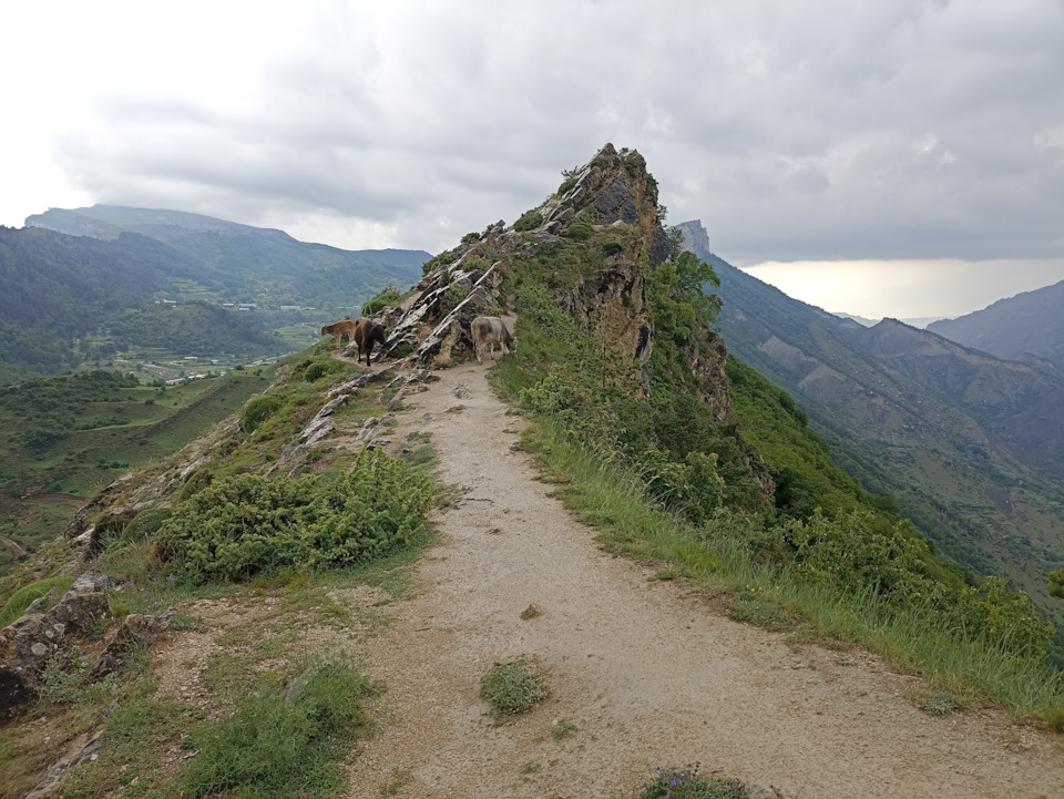 С гуниб дагестан фото