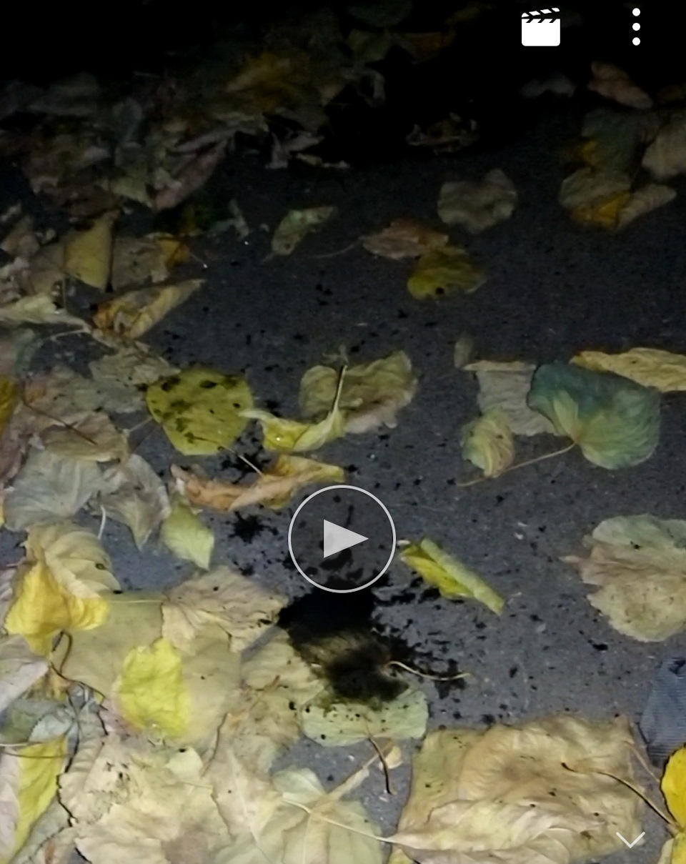 Жидкость из выхлопной трубы — Ford Focus II Sedan, 1,6 л, 2008 года ...