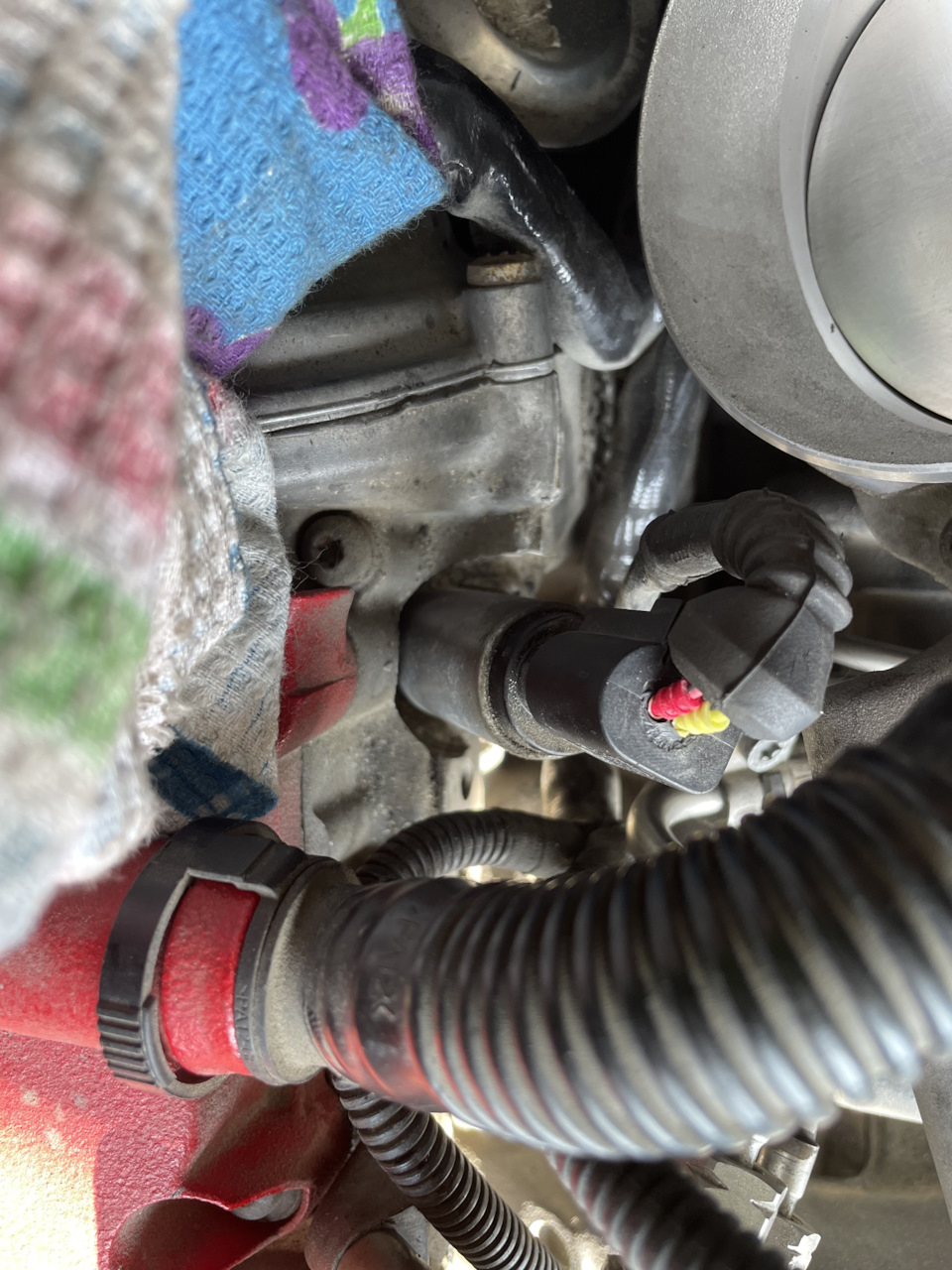 Фото в бортжурнале Audi RS4 (B7)