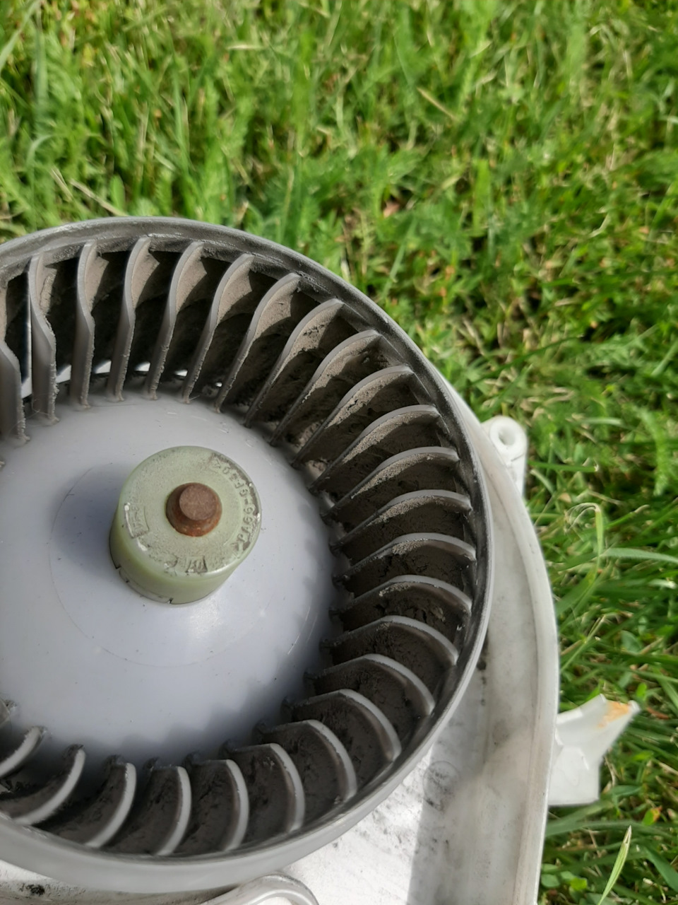 Фото в бортжурнале Toyota Prius (20)