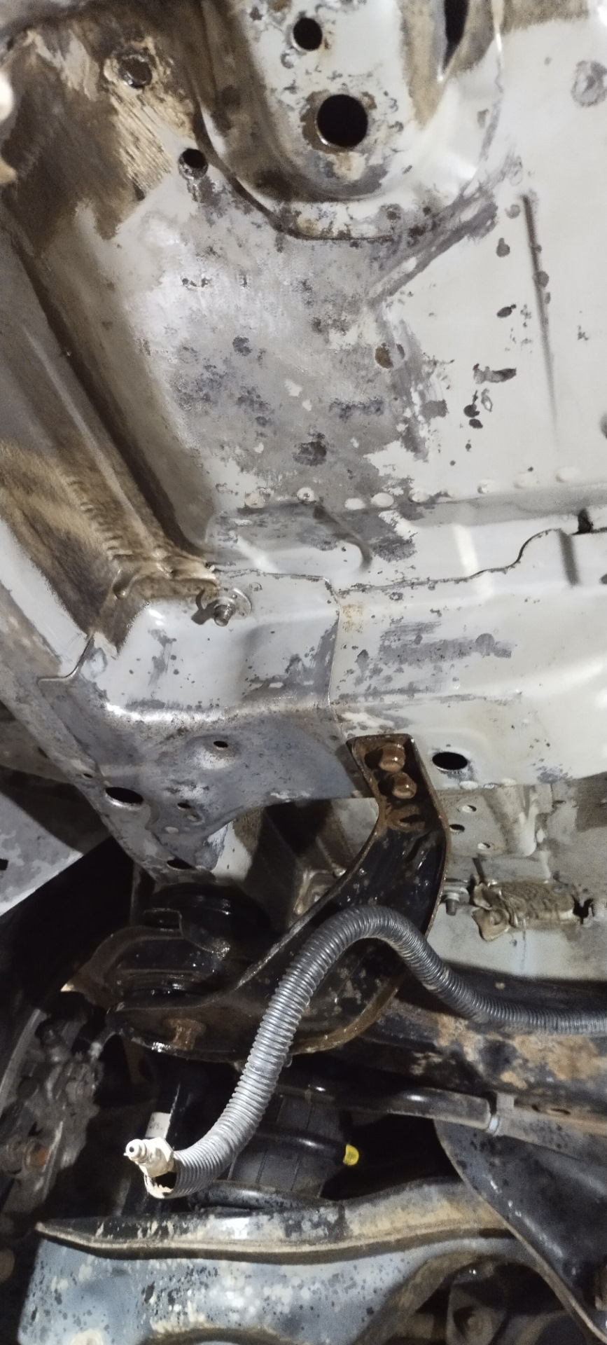 Обработка Элички — Honda Elysion, 2,4 л, 2004 года | своими руками | DRIVE2