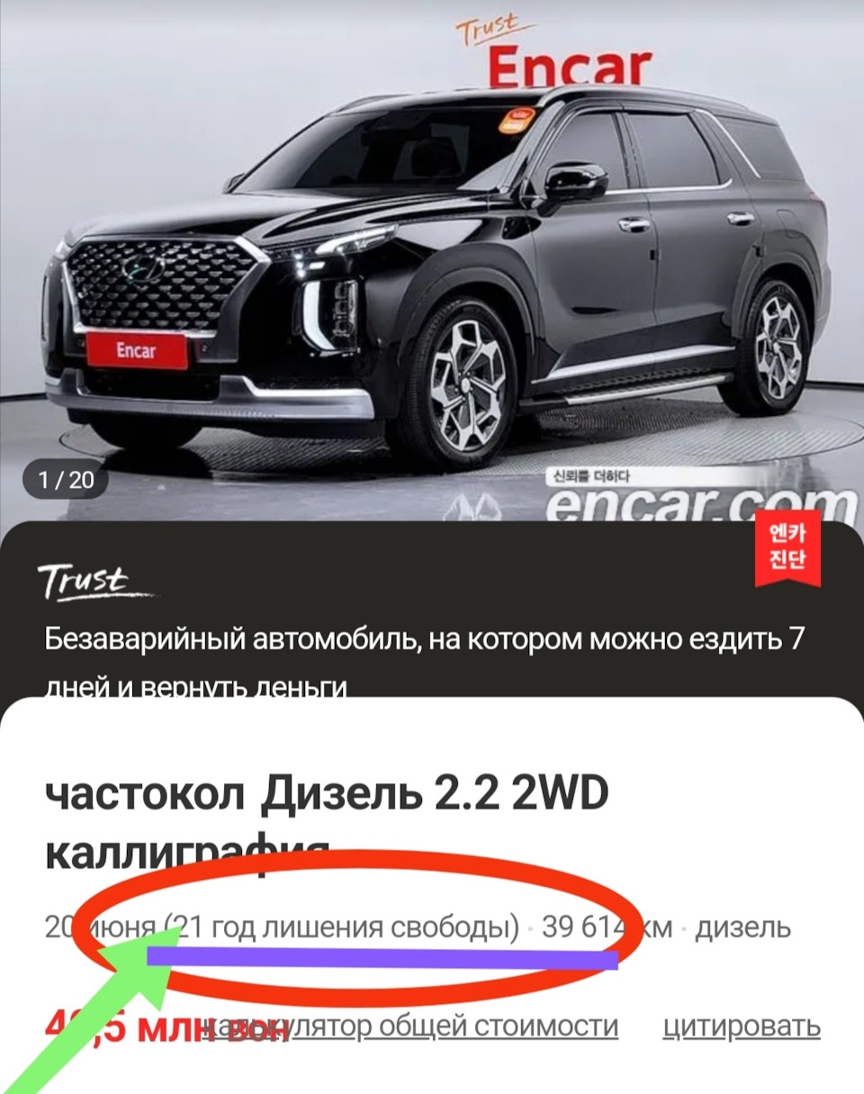 Год лишения свободы в РФ 2023 — Hyundai Palisade, 2,2 л, 2020 года |  покупка машины | DRIVE2