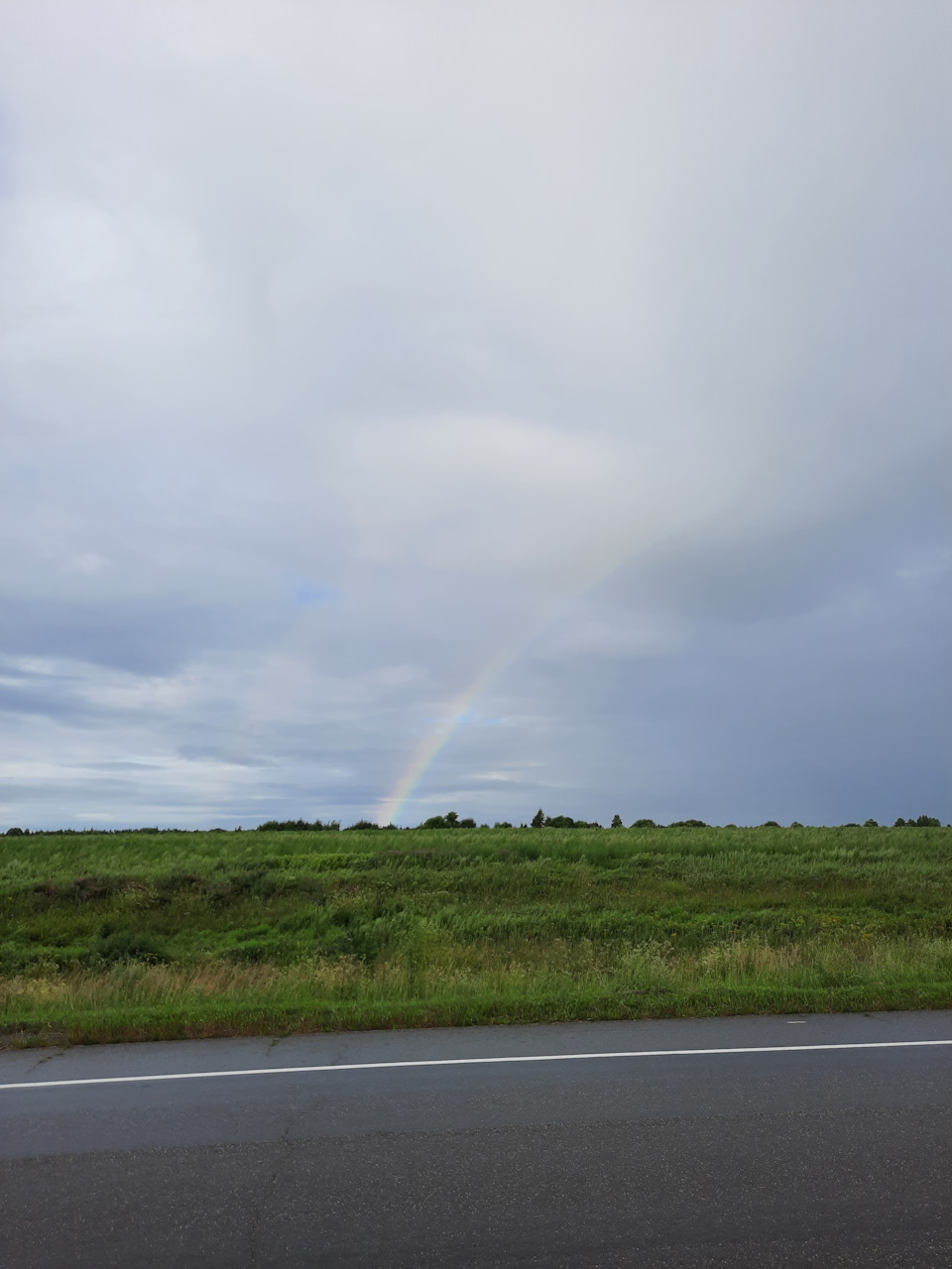 Фото в бортжурнале Nissan Safari (Y60)