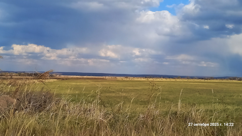 Фото в бортжурнале Willys MB