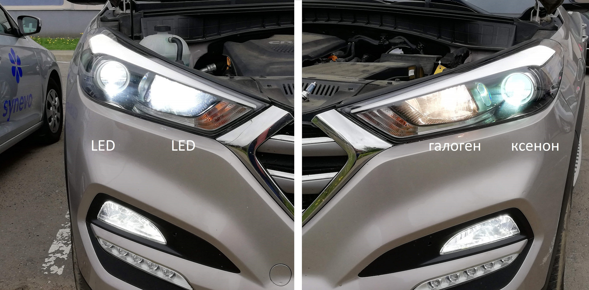 Ксенон или лед что лучше. Ксенон vs led. Галоген vs led. Галоген ксенон led. Ксенон vs галоген.