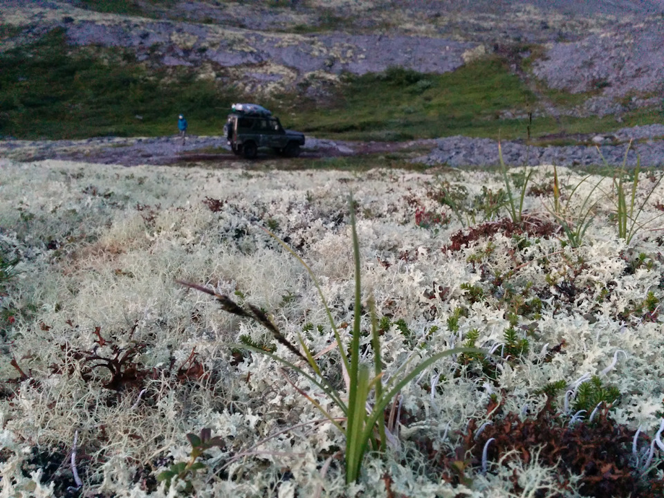 Фото в бортжурнале УАЗ 315195 Hunter