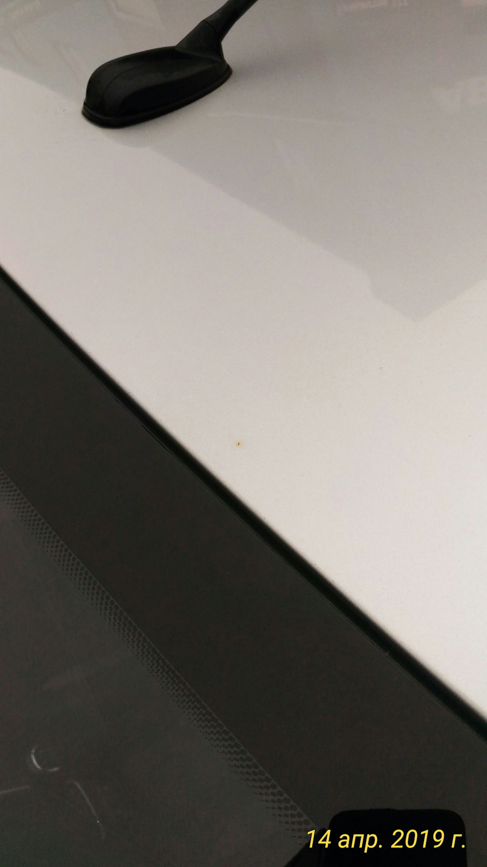 пятнышко ржи поближе — Lada Vesta (1G)