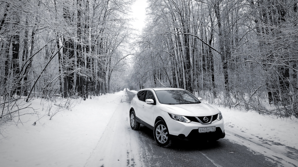 Nissan Qashqai ТЛЕН