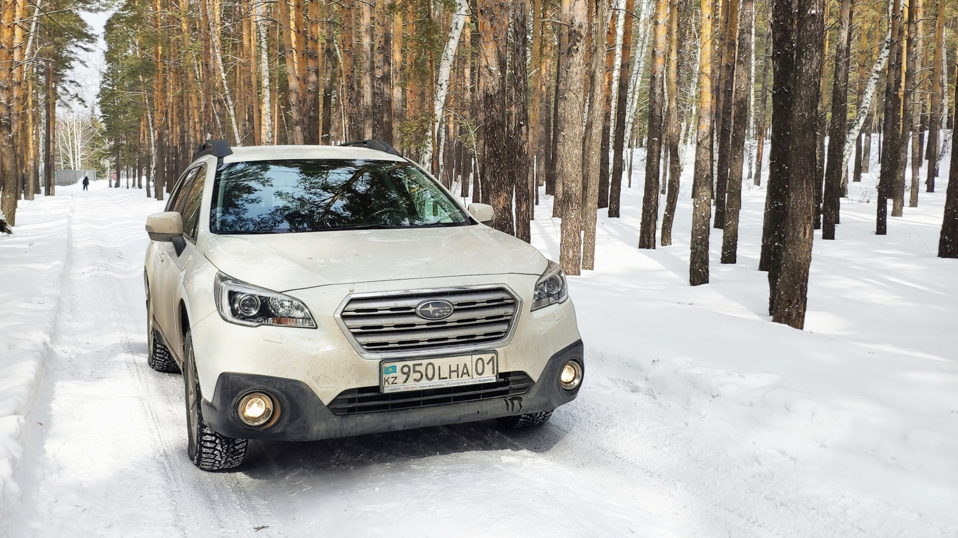 Subaru Outback (BS) 2.5 бензиновый 2015 | trolleybus на DRIVE2