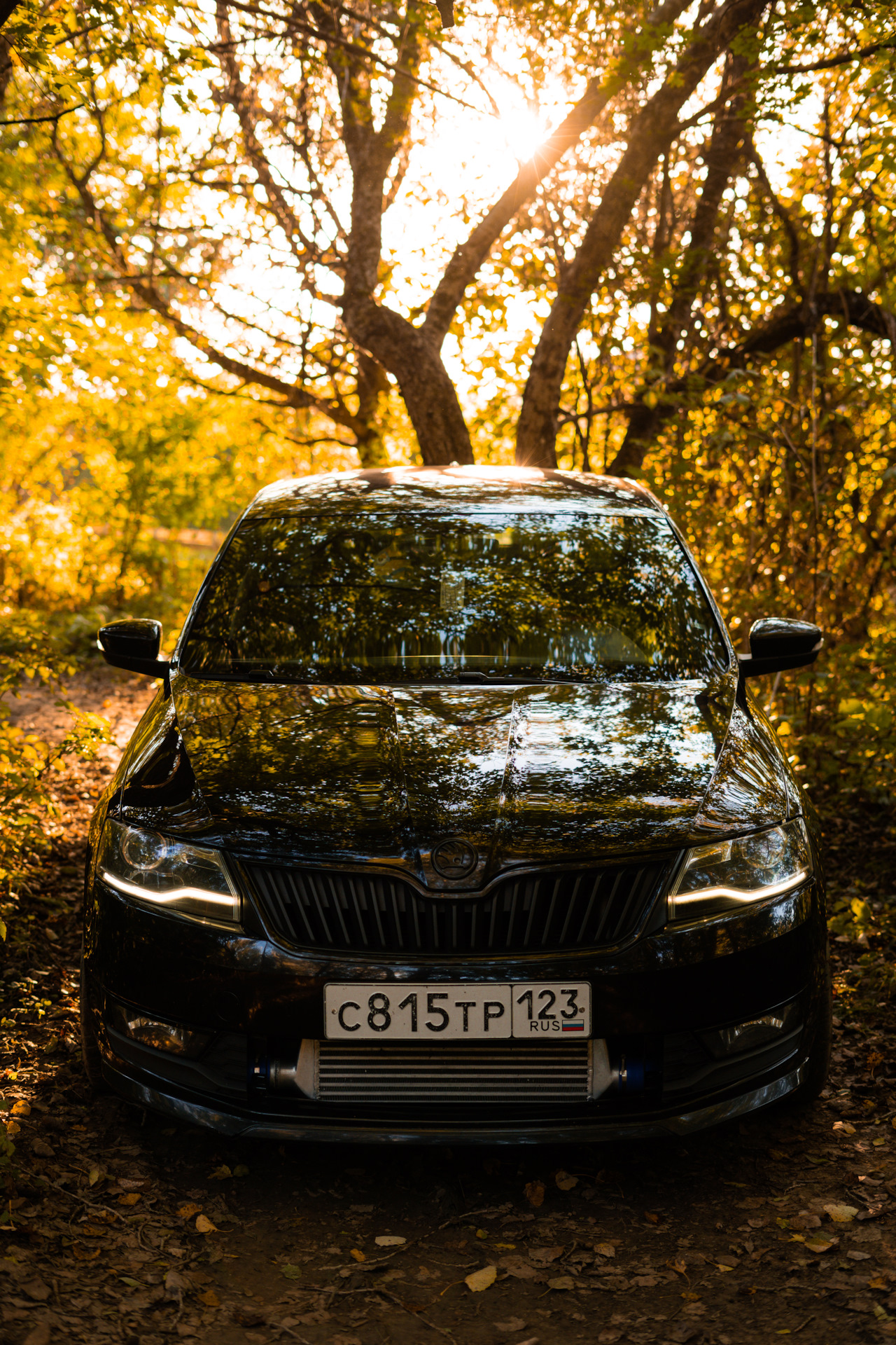 Продажи пост — Skoda Rapid (1G), 1,4 л, 2018 года | продажа машины | DRIVE2