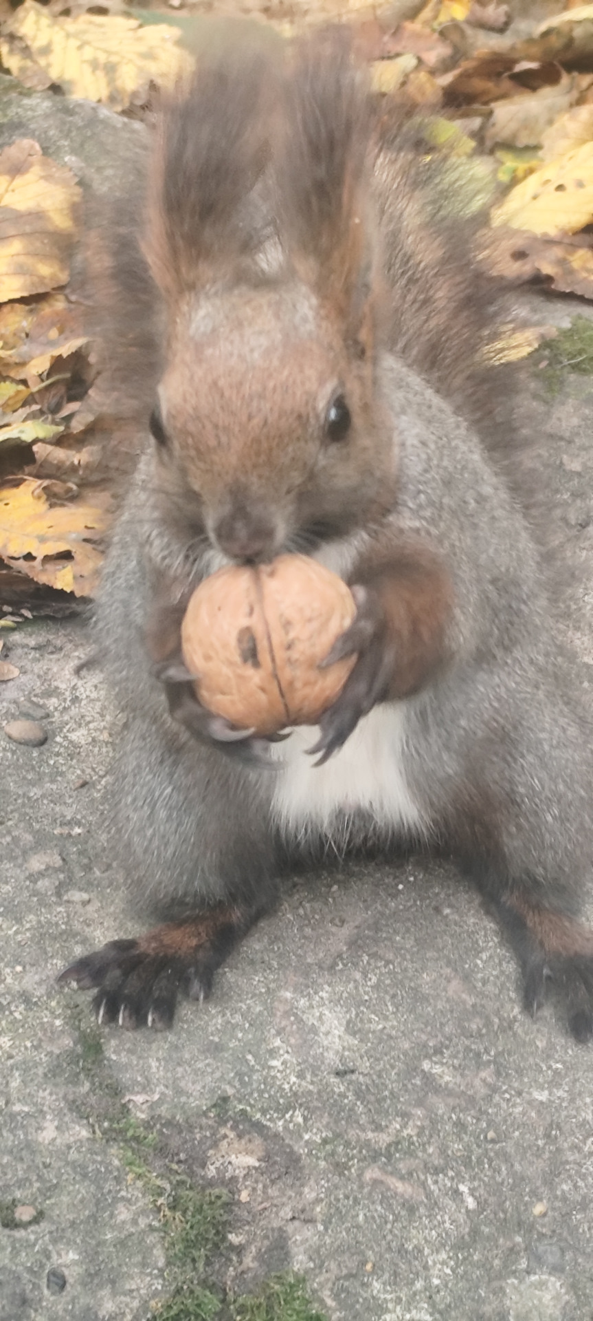 Фото в бортжурнале Mitsubishi Pajero (4G)