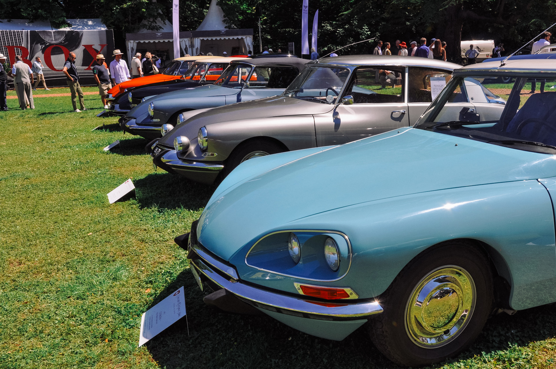 Ds motors. 1958 Lemans Coupe Strother.