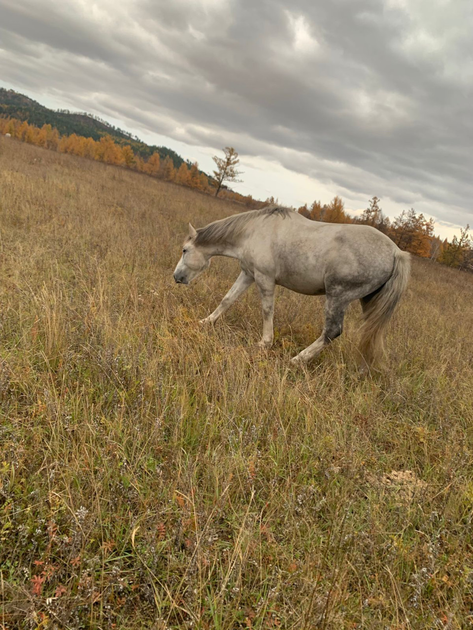 Фото в бортжурнале Chevrolet Tracker II