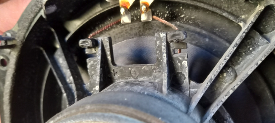 Полярность проводов можно проверить посмотрев с обратной стороны колонок — Ford Mondeo IV