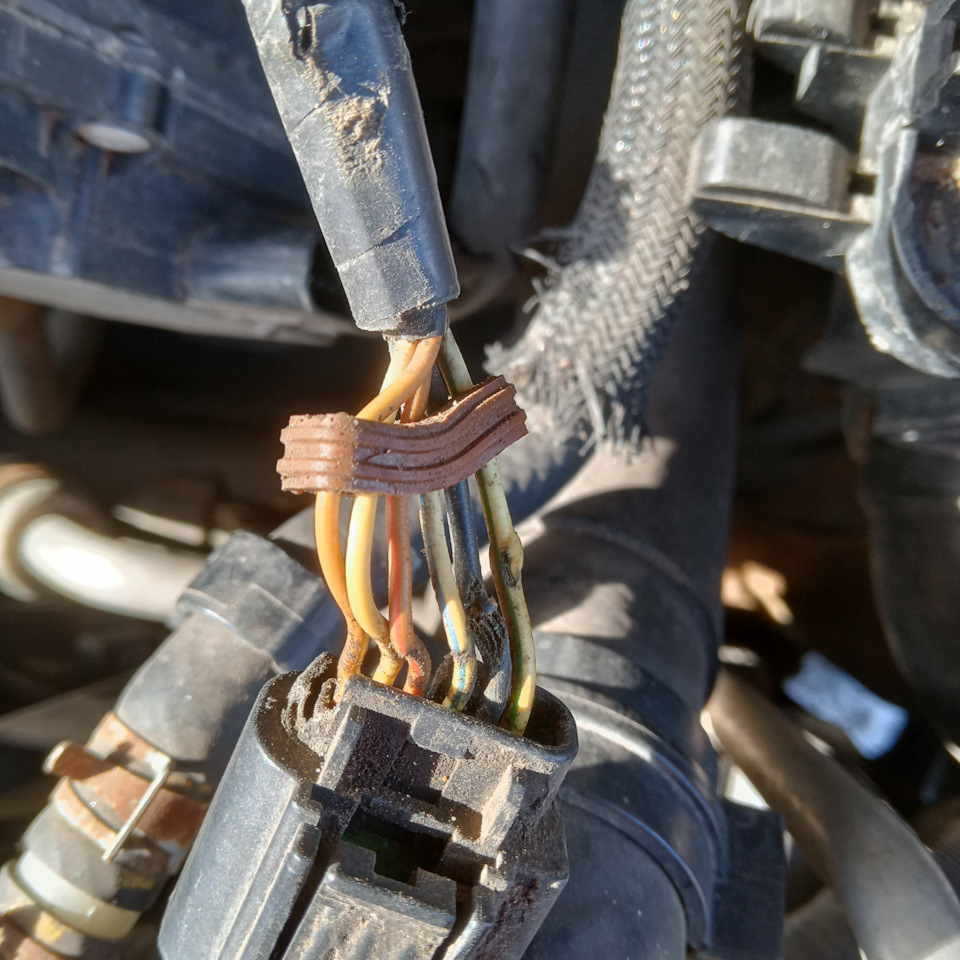 Разбор фишки дроссельной заслонки. — Mazda 6 (1G) GG, 1,8 л, 2006 года ...