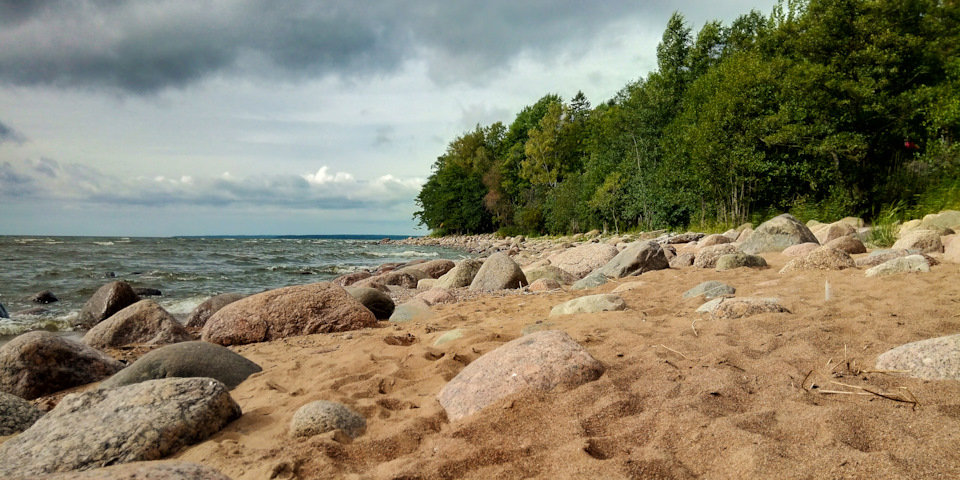 Фото Задних Колодок Рено Логан – Telegraph