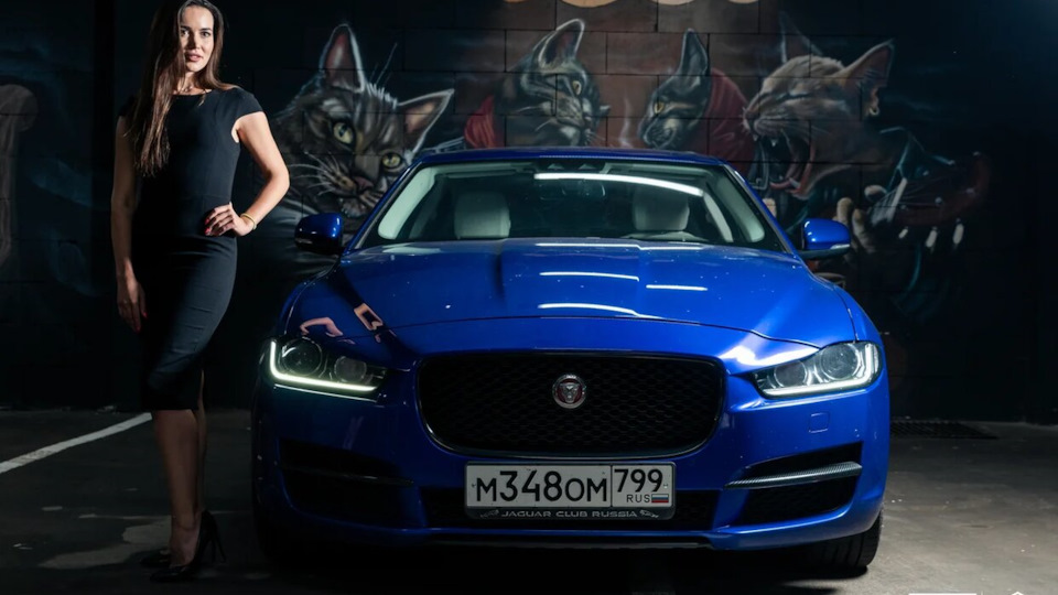 Jaguar XE ||BlueCAT||