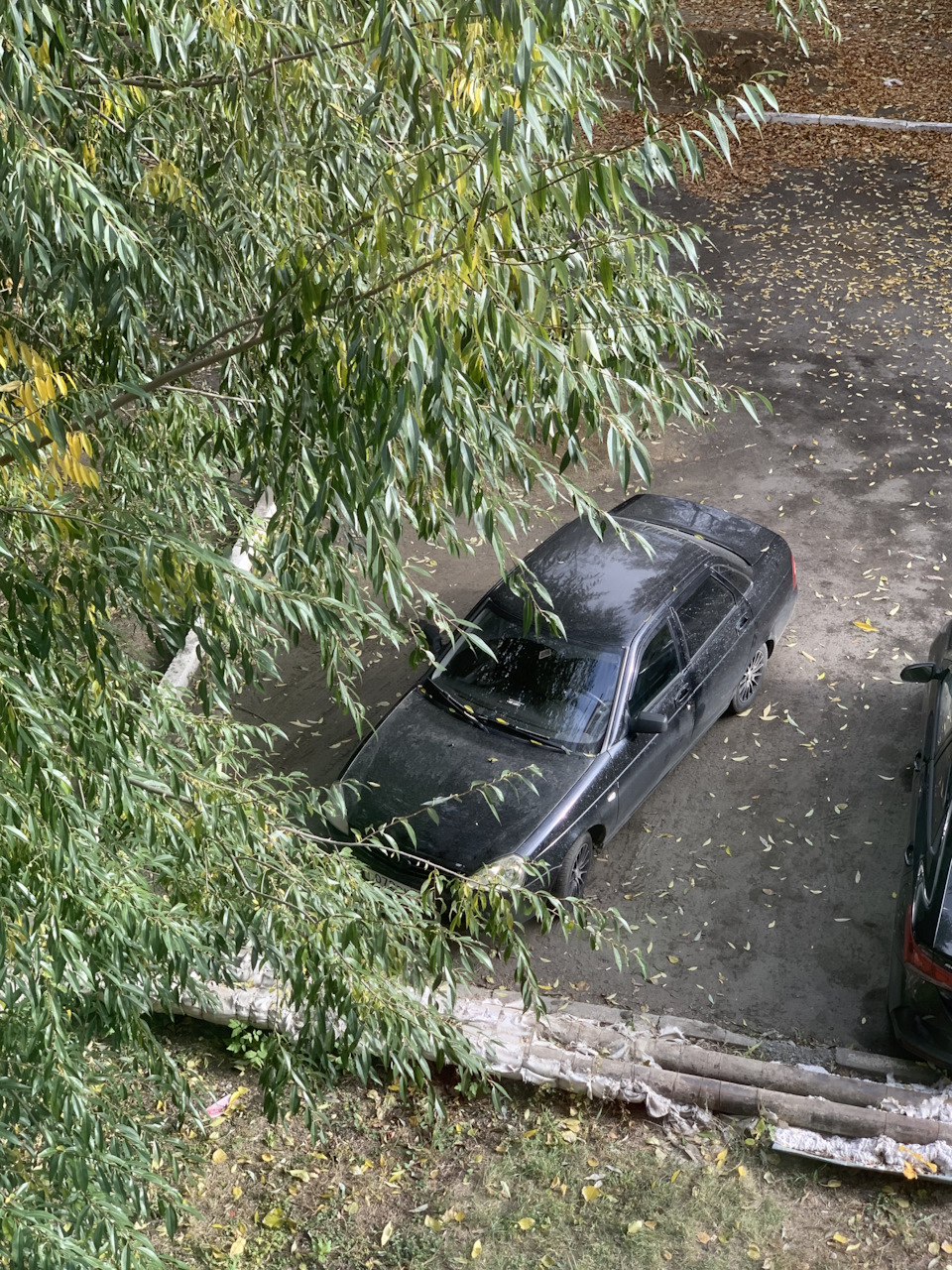 Нужна помощь в нескольких вопросах — Lada Приора седан, 1,6 л, 2008 года |  наблюдение | DRIVE2