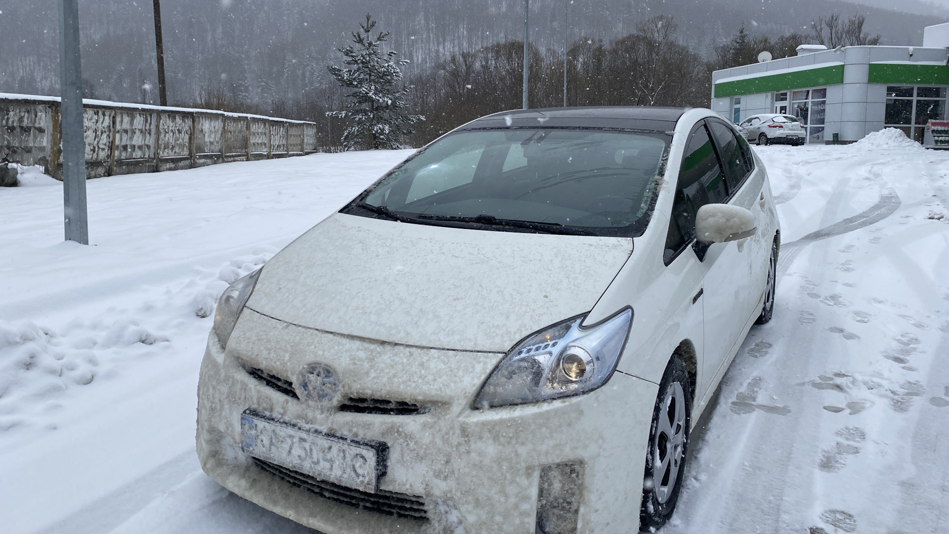 Toyota Prius (30) 1.8 гибридный 2010 | Белый Перламутровый на DRIVE2