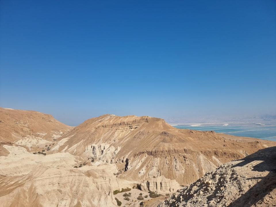 Фото в бортжурнале Tesla Model 3