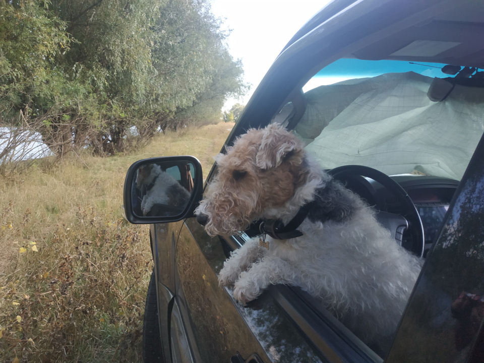 Фото в бортжурнале Mitsubishi Pajero (4G)