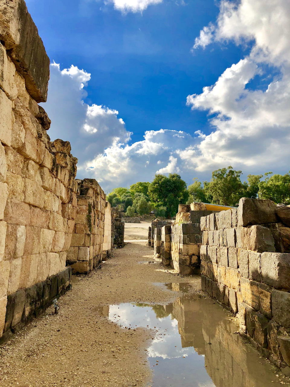 Check number plate light — Peugeot Bipper, 1,4 л, 2011 года своими