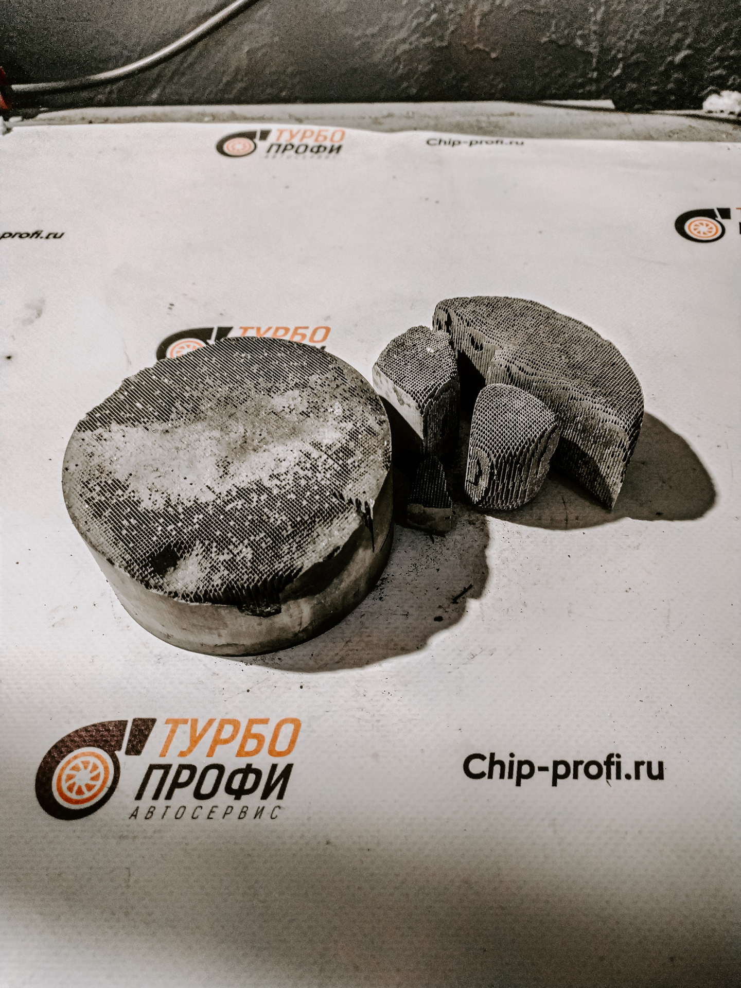 Чип профи волгоград
