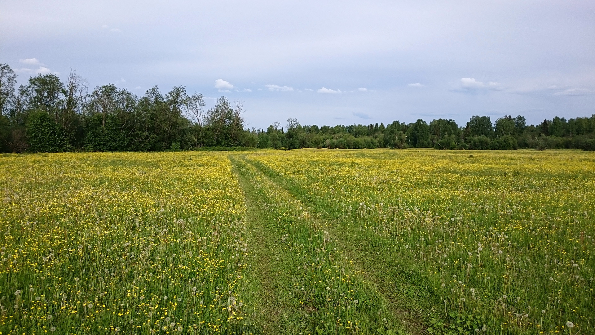 Зимние колеса на Kia Rio xline . — KIA Rio XLine, 1,6 л, 2019 года