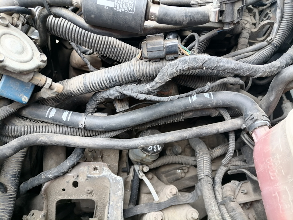 Укус блудницы, точней куницы. — Opel Zafira B, 1,8 л, 2008 года ...