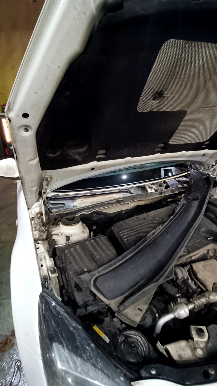 Фото в бортжурнале Opel Insignia (1G)