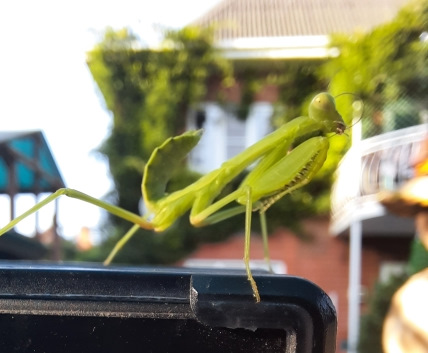 Этому бедолаге точно не повезет, когда встретит свою ненаглядную и ненасытную. — Nissan X-Trail III (t32)