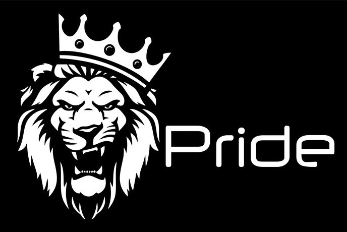 Pride team. Pride car Audio Лев. Эмблема Прайд Pride. Прайд кар аудио наклейка со львом. Флаг Pride car Audio.