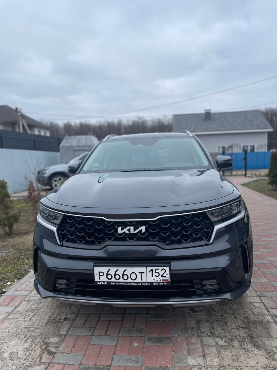 Оформление — KIA Sorento (4G), 2,5 л, 2022 года | страхование | DRIVE2