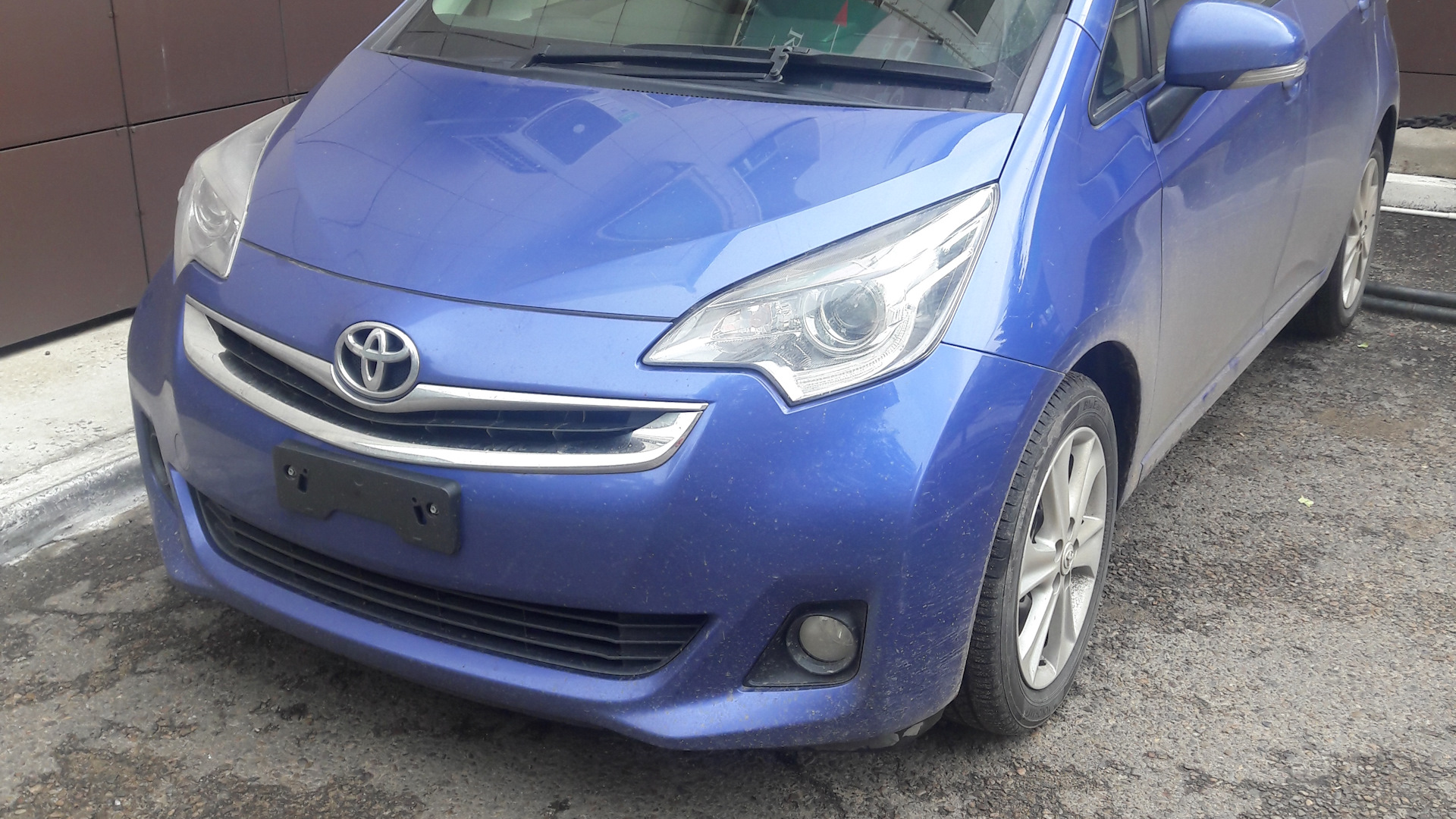 Toyota Ractis (2G) 1.5 бензиновый 2014 | Василек на DRIVE2