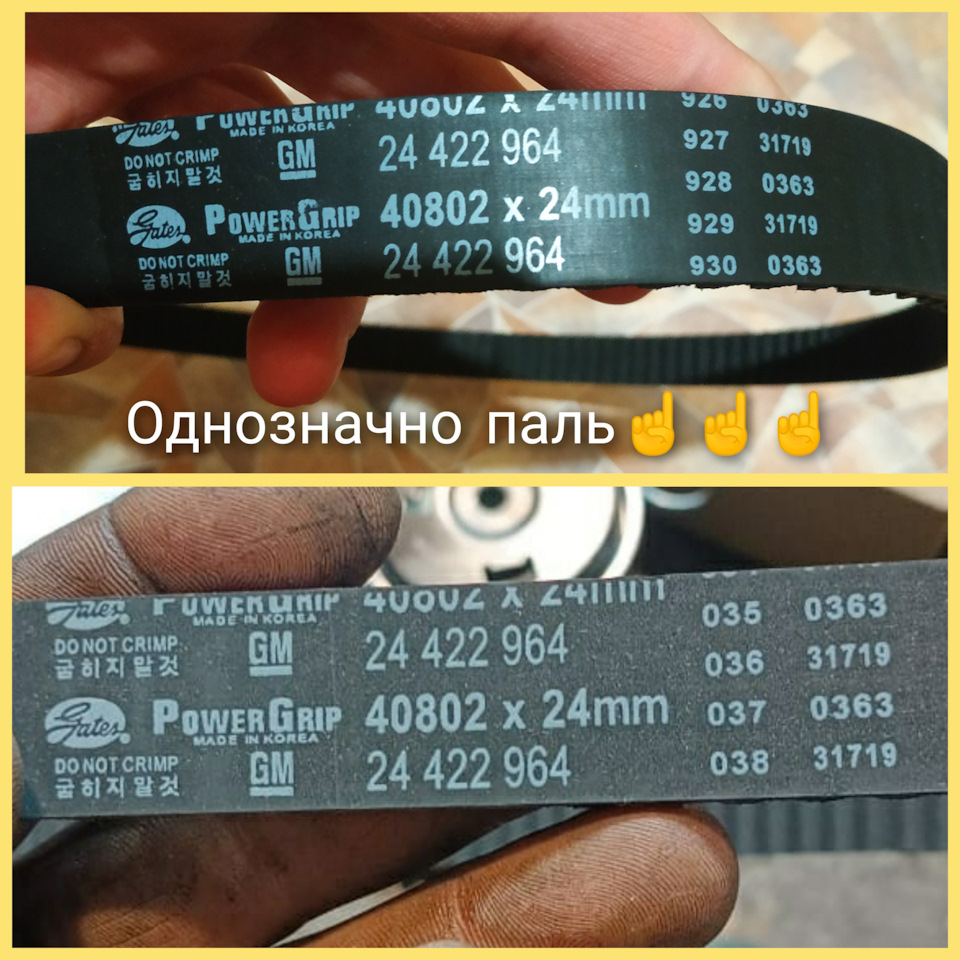24422964 Ремень грм GM | Запчасти на DRIVE2